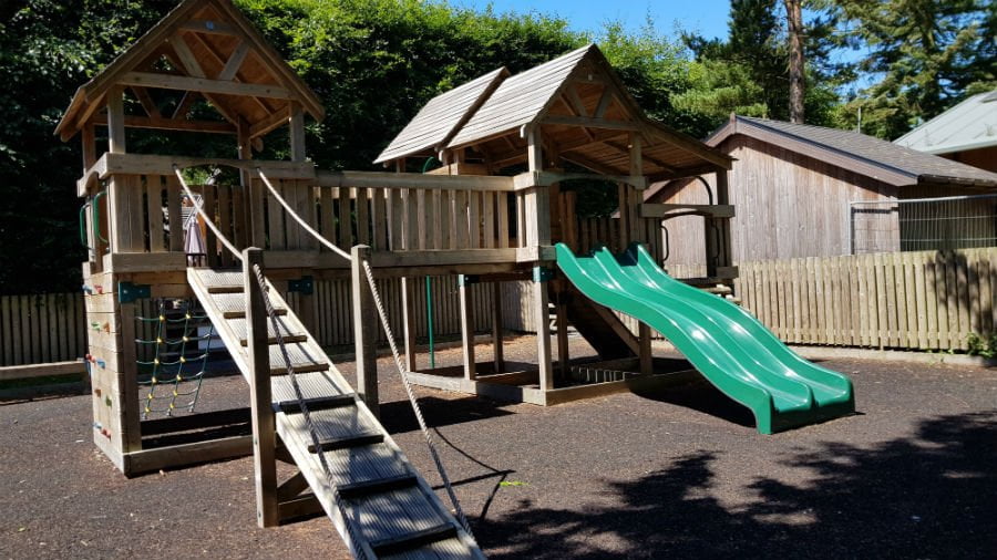 Playground at Darwin Forest