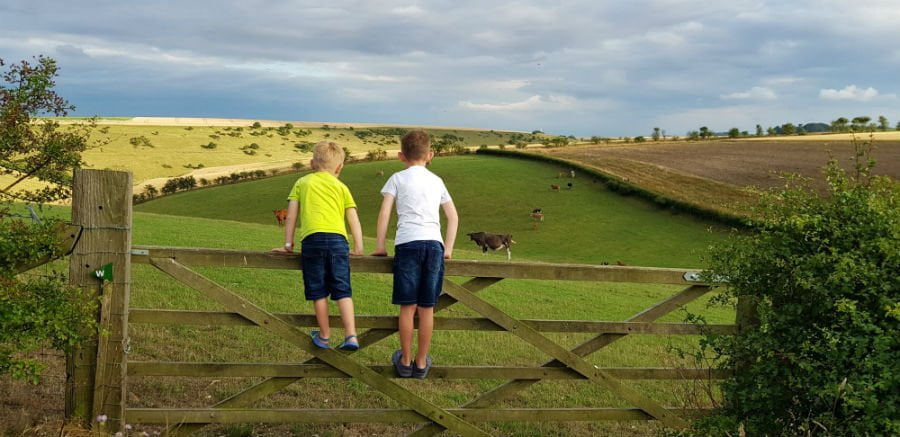 boys on gate