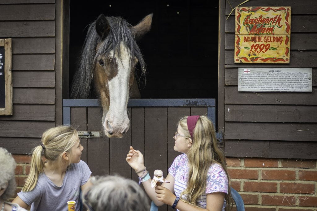 toddler friendly things to do in dorset