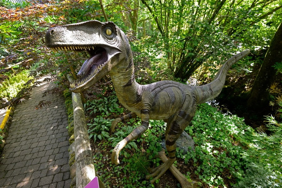 dinosaur days out