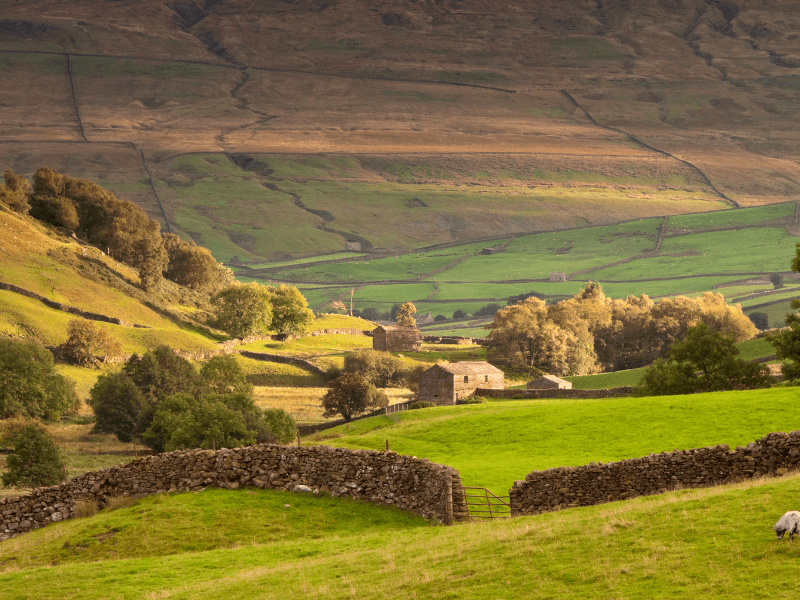baby and toddler friendly place to stay yorkshire