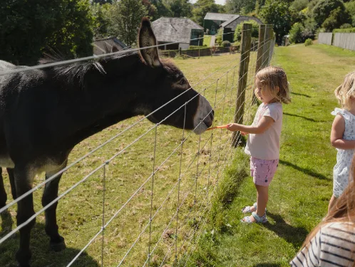 baby and toddler friendly cottage cornwall