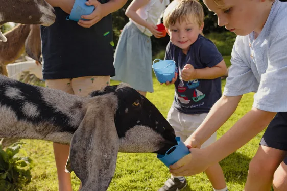 baby and toddler friendly cottage cornwall