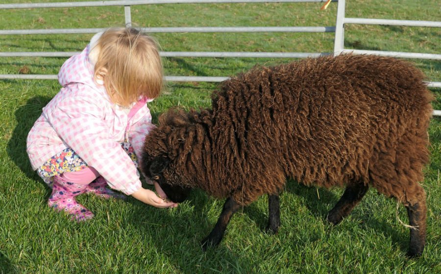 baby and toddler friendly cottage in the isle of wight