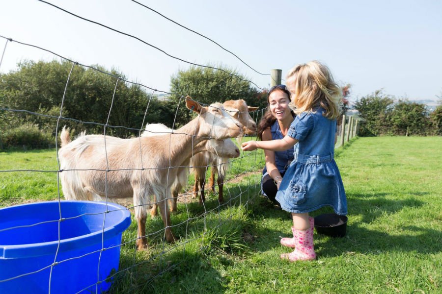 toddler friendly holidays