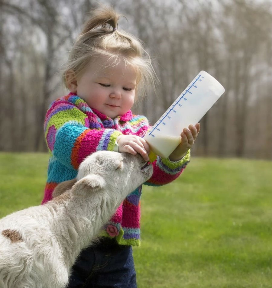 cottages for babies and toddlers in cornwall