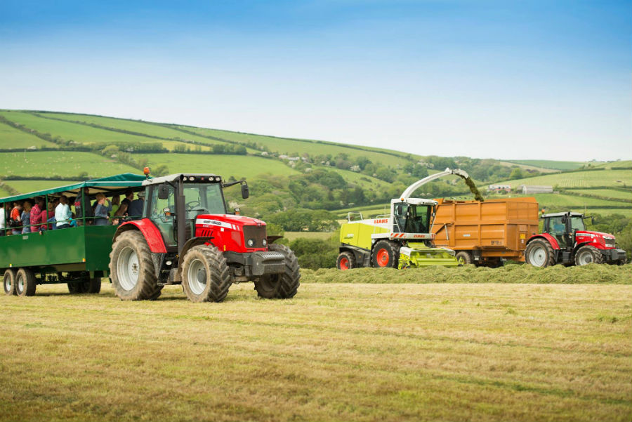 farm holidays in cornwall