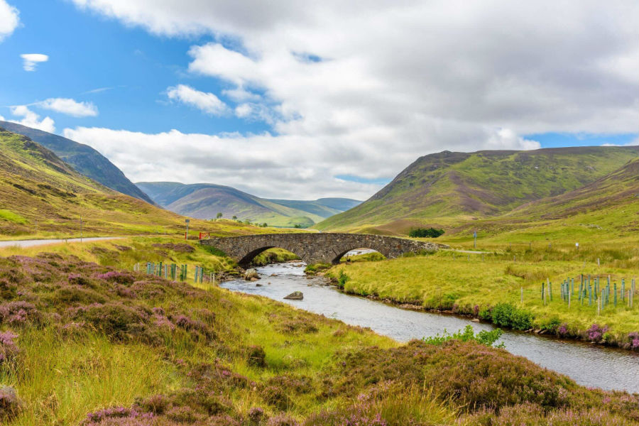 family friendly things to do in the cairngorms