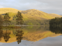 family friendly things to do cairngorms