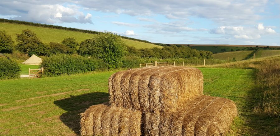 family friendly glamping yorkshire