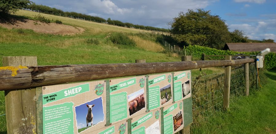 family friendly glamping yorkshire