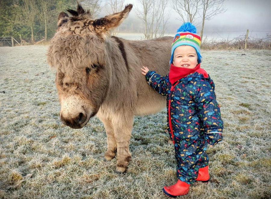 toddler friendly farm holiday devon