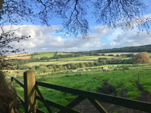 baby and toddler friendly cottage cornwall