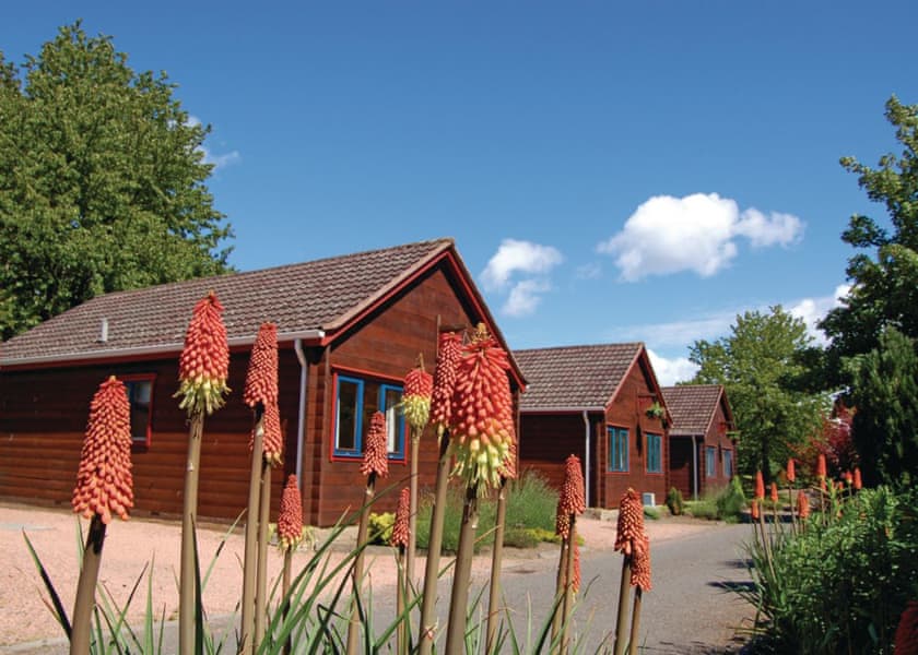 toddler friendly holiday park in scotland