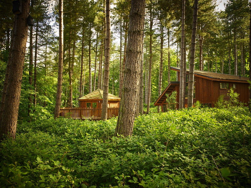 toddler friendly log cabin