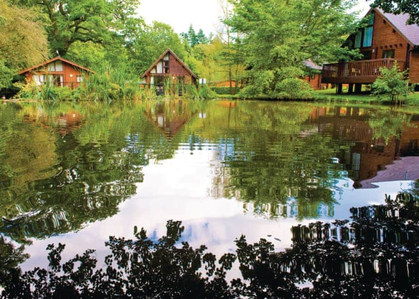 toddler friendly log cabin forest of dean