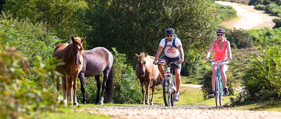 places to stay with babies and toddlers in the new forest