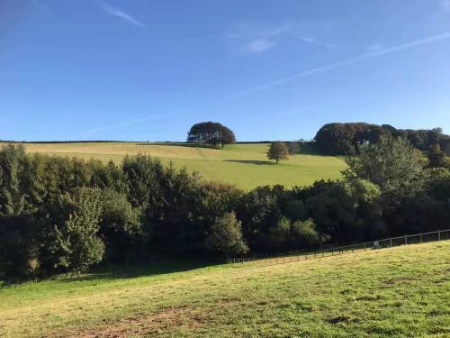 baby and toddler friendly cottage in devon with a swimming pool