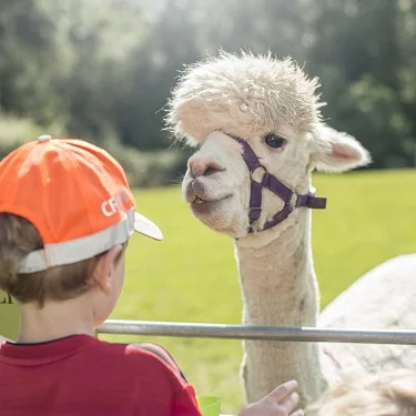 baby and toddler friendly cottages in wales