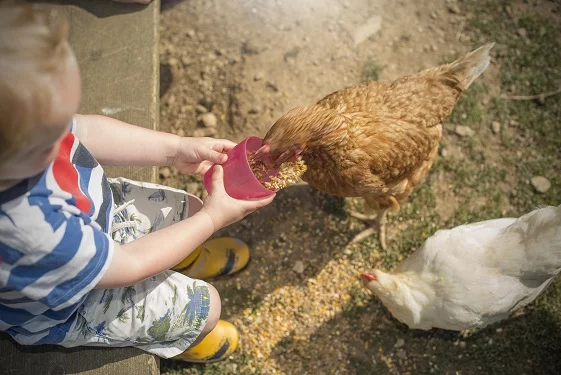 baby and toddler friendly cottages in wales