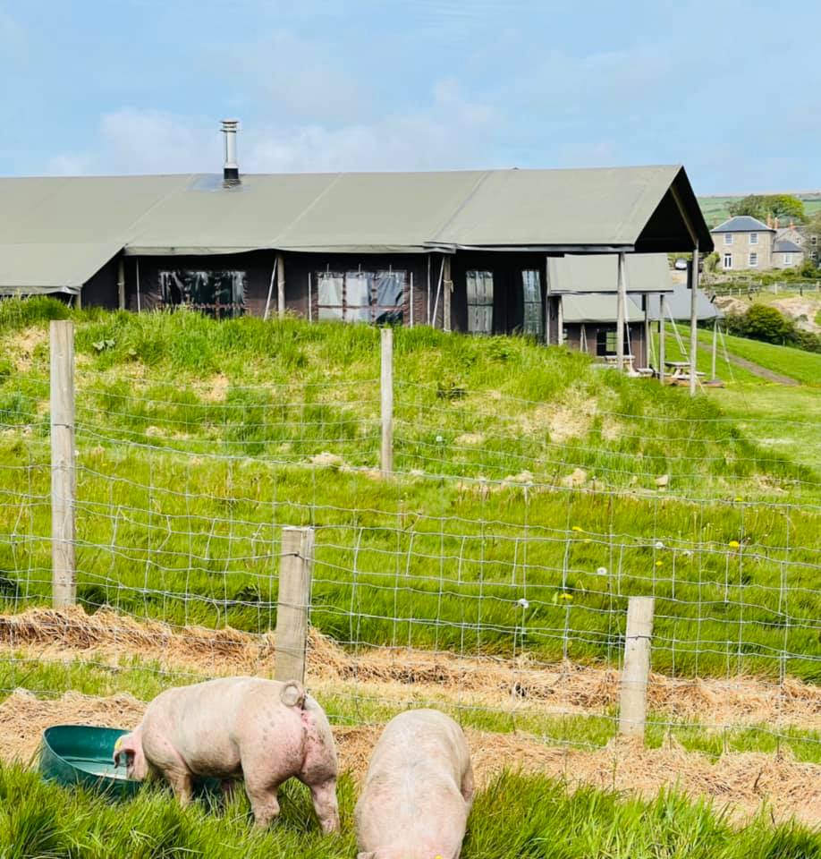 baby and toddler friendly place to stay in cornwall