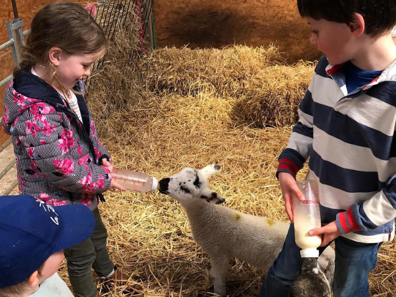 cottage for babies and toddlers in cornwall