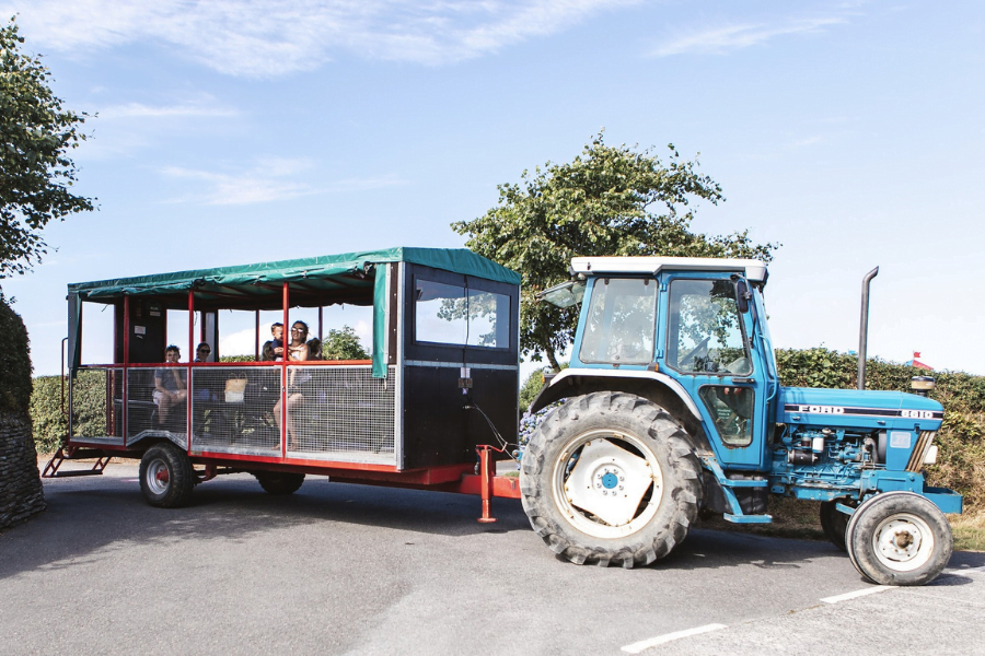 toddler friendly holiday park cornwall