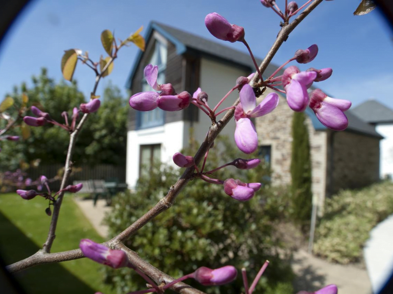 toddler friendly holiday park in cornwall