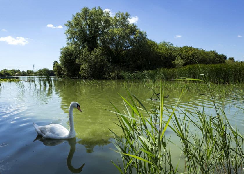 baby and toddler friendly place to stay in sussex