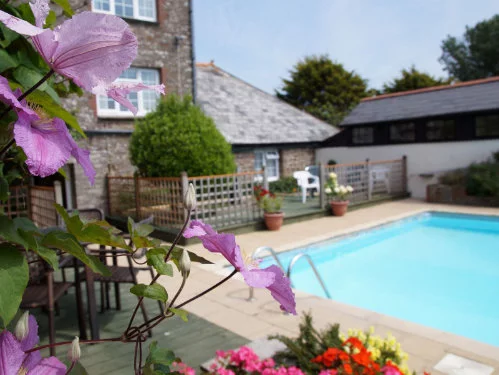 baby and toddler friendly cottage in Devon