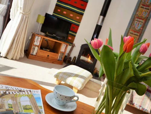 baby and toddler friendly cottage near bude