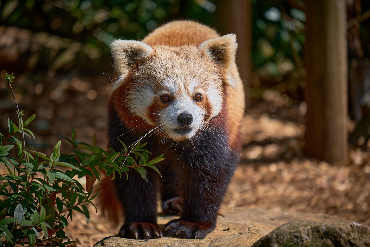 19 BEST Toddler Friendly Days Out In The UK