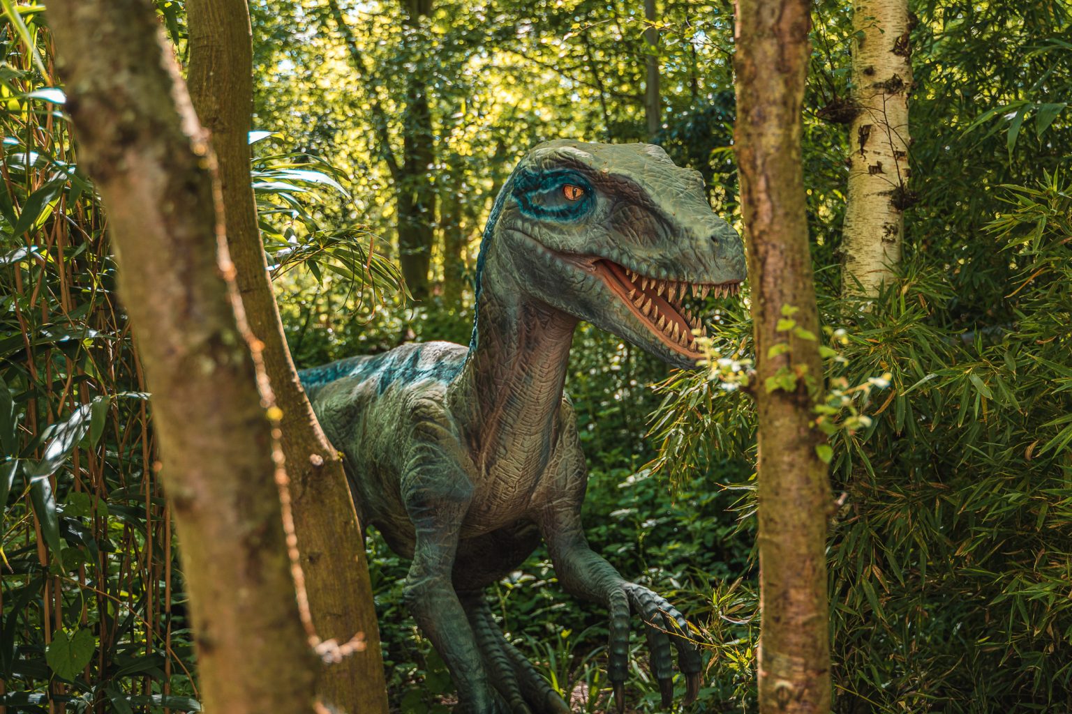 19 BEST Toddler Friendly Days Out In The UK 19-best-toddler-friendly-days-out-in-the-uk