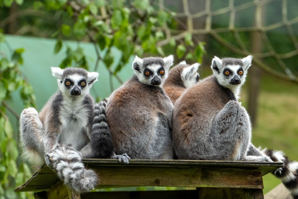 toddler friendly day out