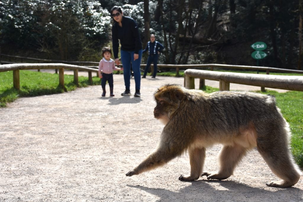 toddler friendly days out uk