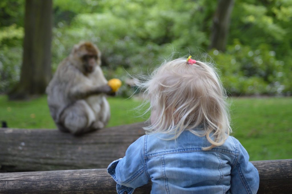 toddler friendly days out uk