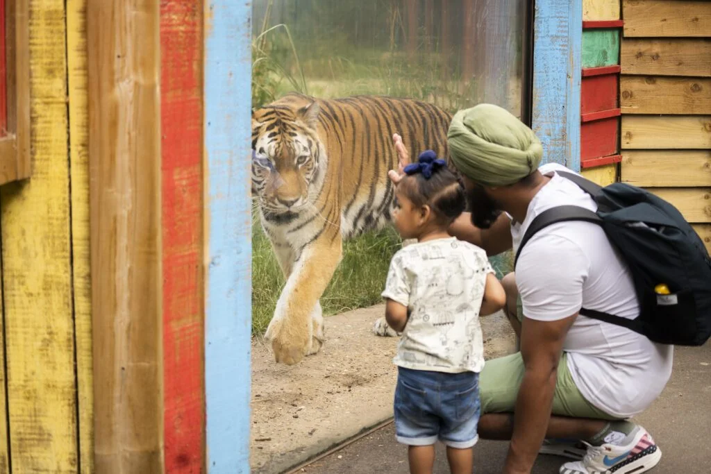 toddler friendly days out uk