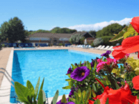 toddler friendly holiday park in the new forest