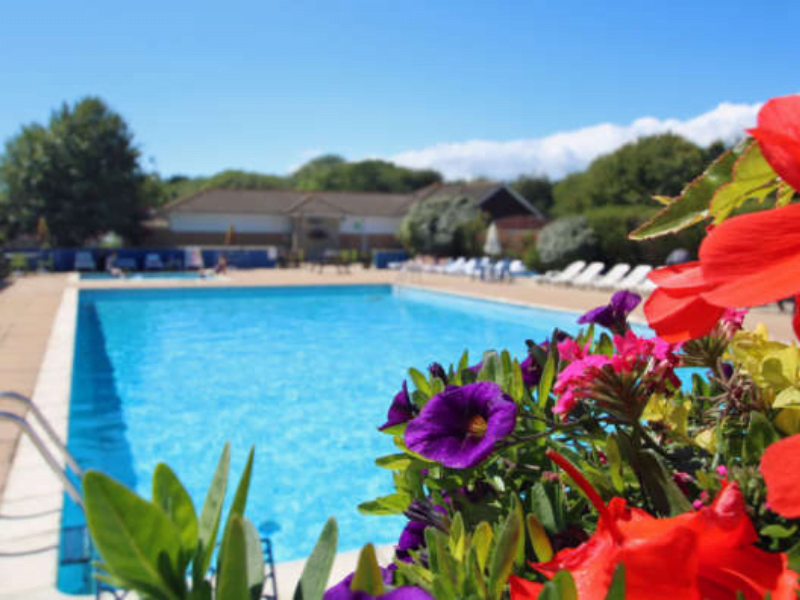 toddler friendly holiday park in the new forest