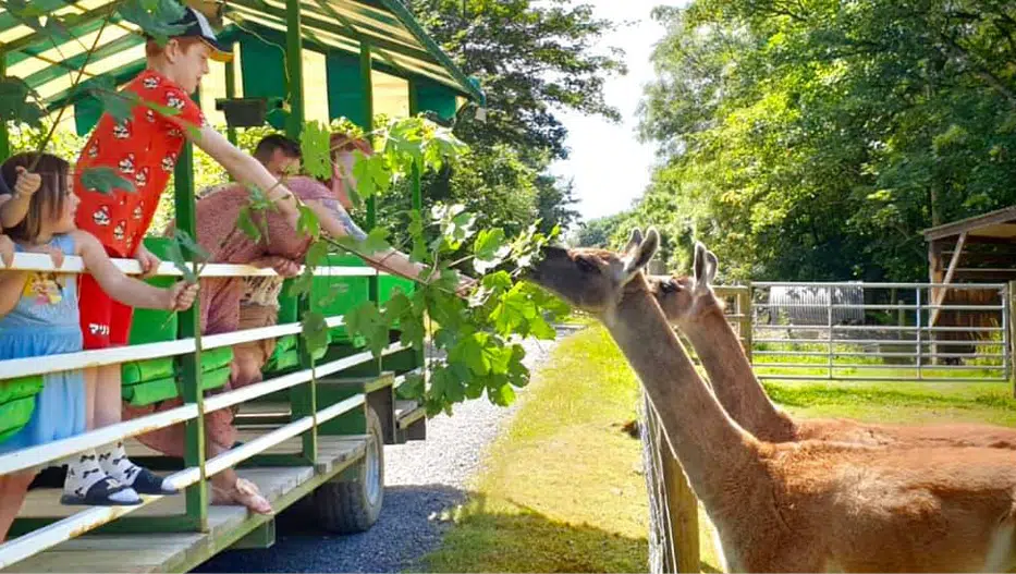 toddler friendly day out