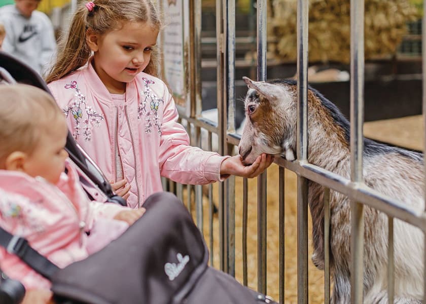 baby and toddler friendly holiday park UK