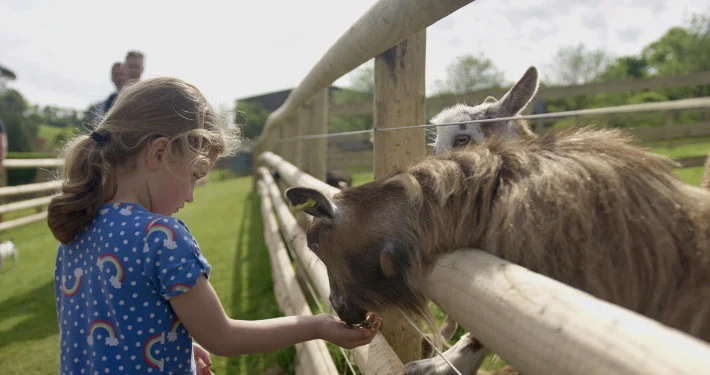 cottage for babies and toddlers in devon
