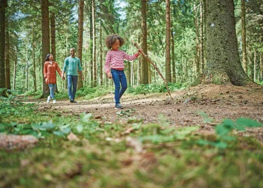 toddler friendly holiday park in the peak district
