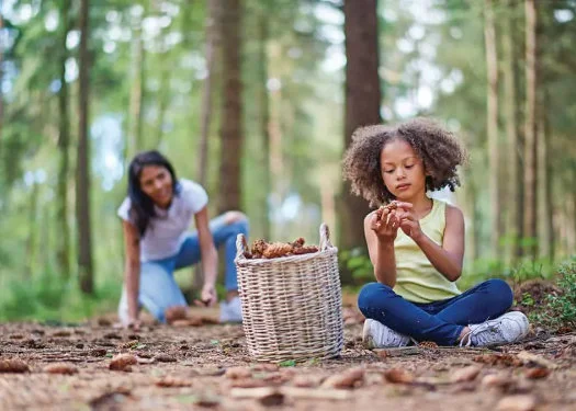 toddler friendly holiday park in the peak district