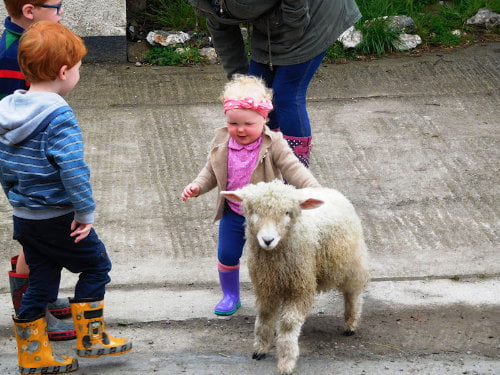 toddler friendly farm holiday north devon