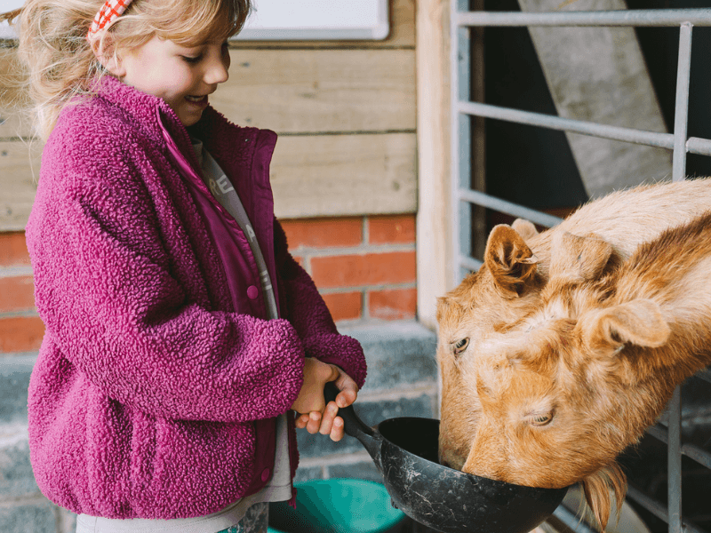baby and toddler friendly cottage devon