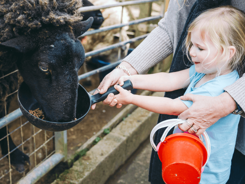 baby and toddler friendly cottage devon