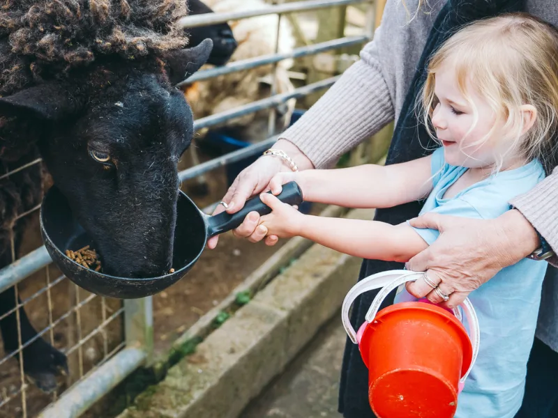 baby and toddler friendly cottage devon