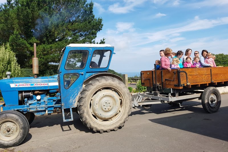 toddler friendly farm holiday in devon