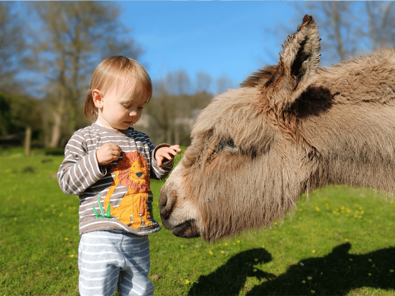 baby and toddler friendly cottage devon